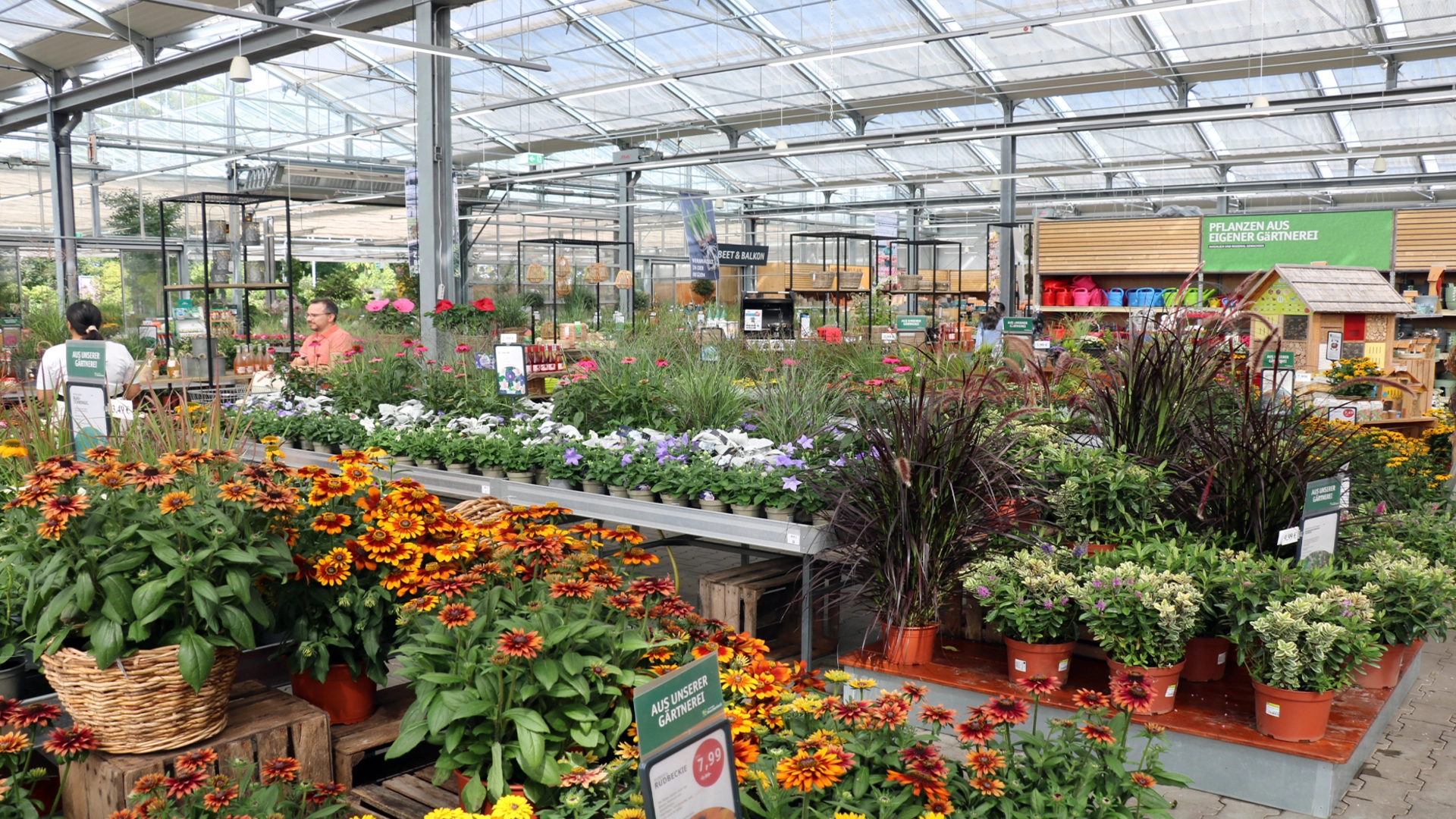 ... and see magnificent garden centres