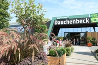 Dauchenbeck