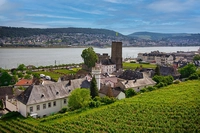 Ruedesheim on the Rhine