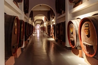 Historic wine cellar at Henkel in Wiesbaden
